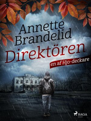 cover image of Direktören